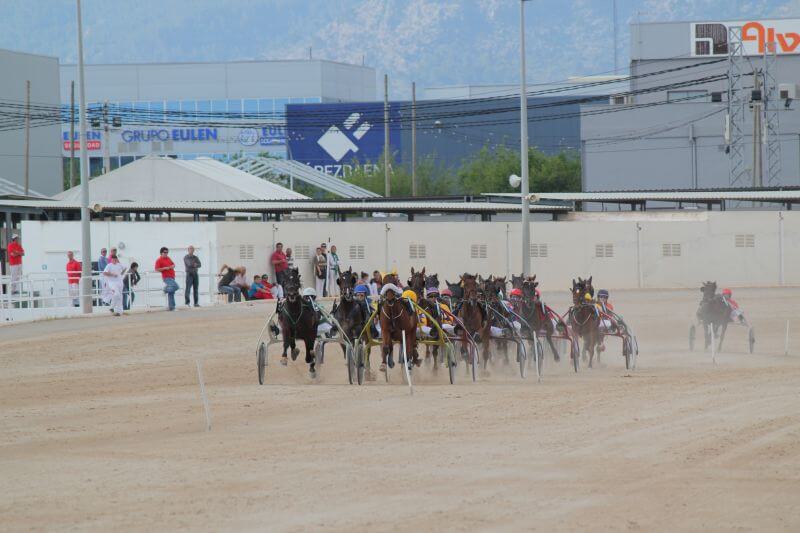 Horse Racing Palma