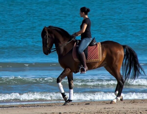 Valencia Horse Riding