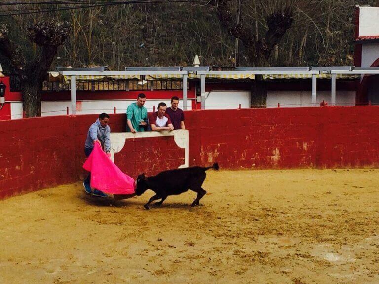 Corrida de jeunes taureaux Séville